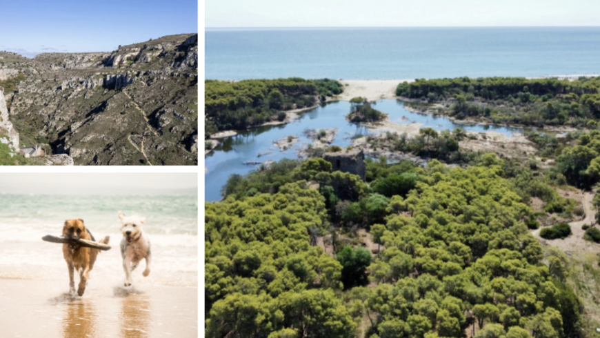 Jardins, Nature de la Riserva et chiens