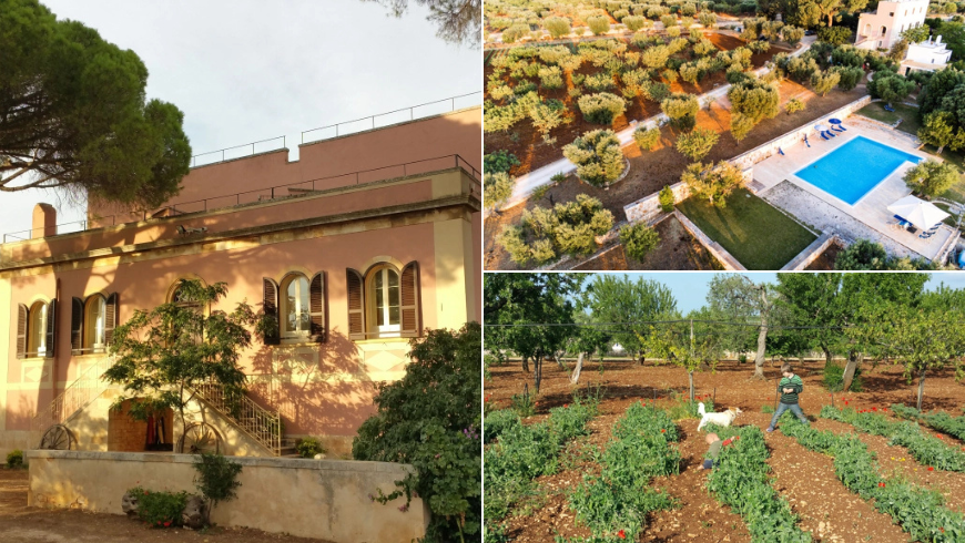 Où séjourner dans les Murge des Pouilles : l'expérience authentique de la Masseria Serragambetta
