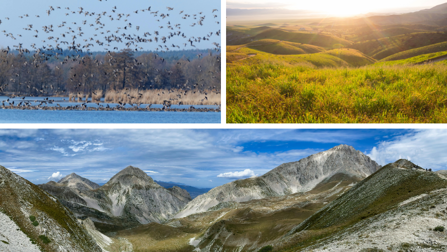 Vue panoramique sur les collines et le Gran Sasso et vue sur le lac avec oiseaux