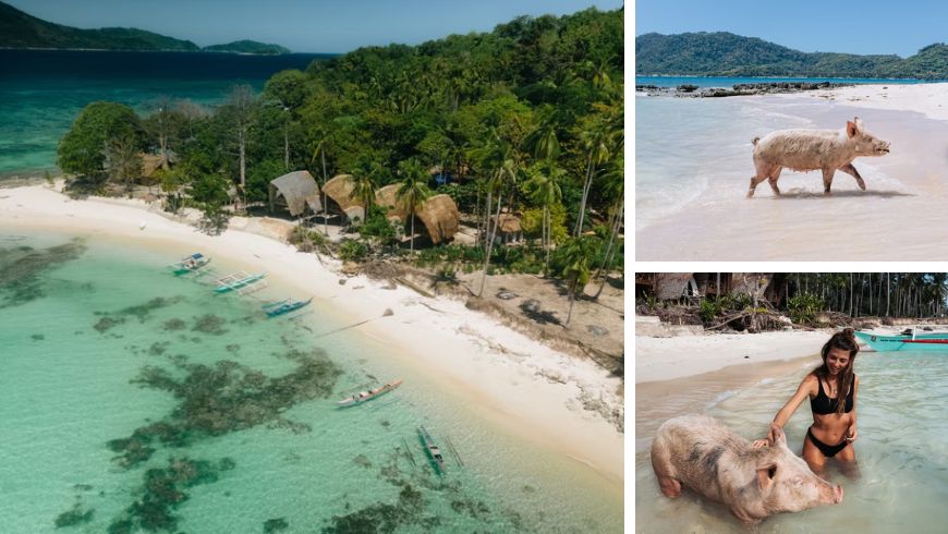 Isla Experience, nord de Palawan