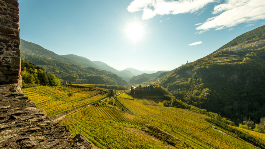 La vue depuis le château de Segonzano