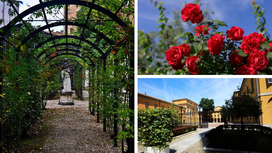 Jardin botanique de l'Université de Pavie, avec des roses rouges