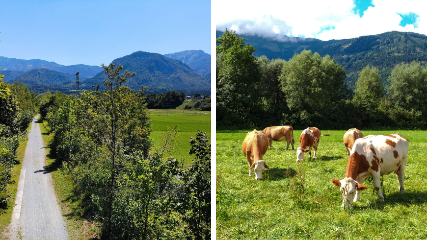 Drauradweg : vue aérienne de la piste cyclable et du paysage avec des animaux. 