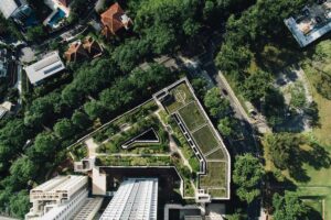 Comment construire des villes pour la faune, pas seulement pour les gens – nouvelle recherche