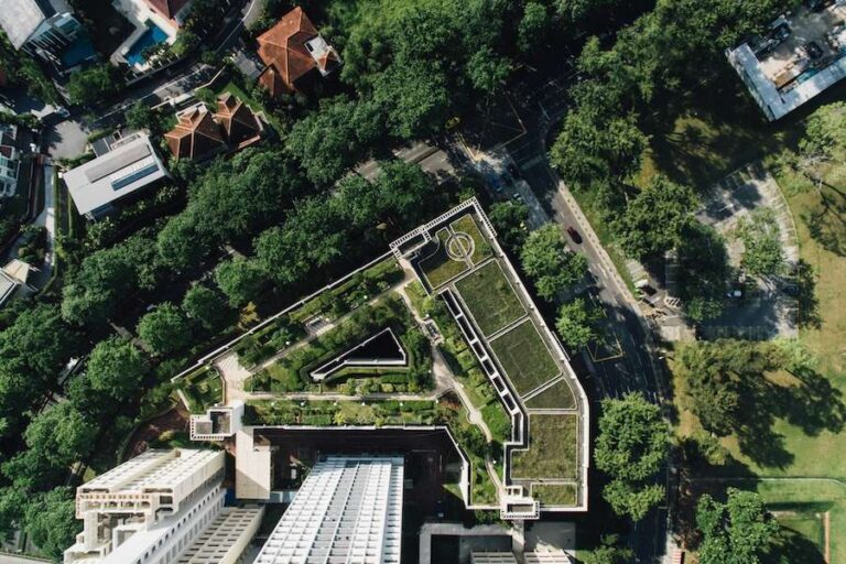 Comment construire des villes pour la faune, pas seulement pour les gens – nouvelle recherche