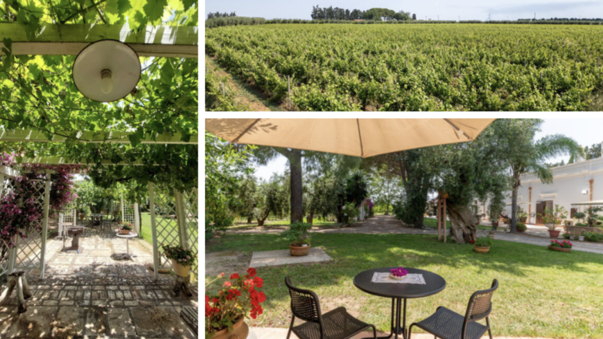 Agriturismo La Stornara, jardins et espaces extérieurs pour se détendre