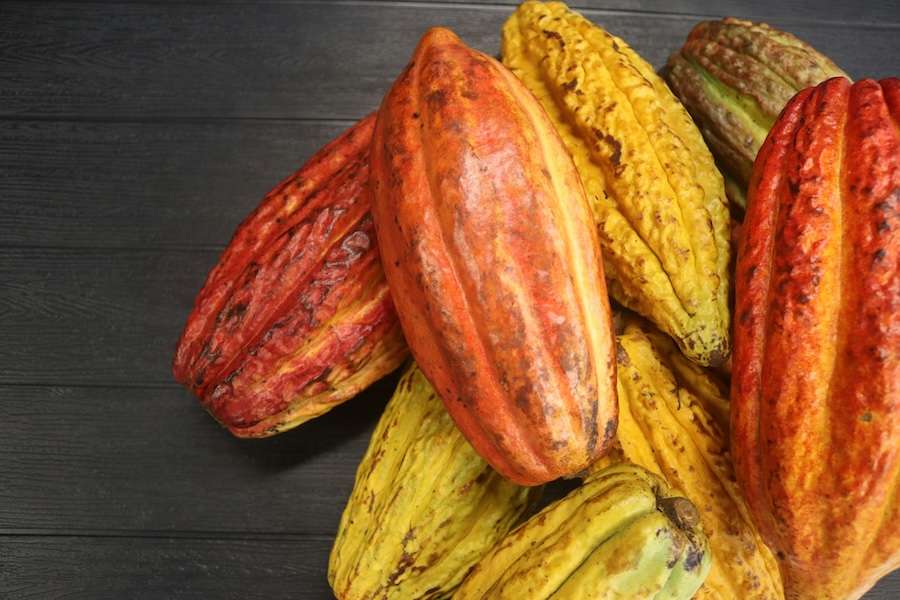 World Cocoa Foundation and COCOBOD Announce Ghana as Host of Partnership Meeting 2027