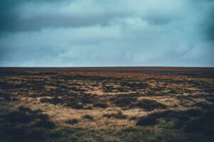 Le brûlage des landes pour la gestion des hautes terres expose des millions de personnes à des niveaux de pollution atmosphérique dangereux
