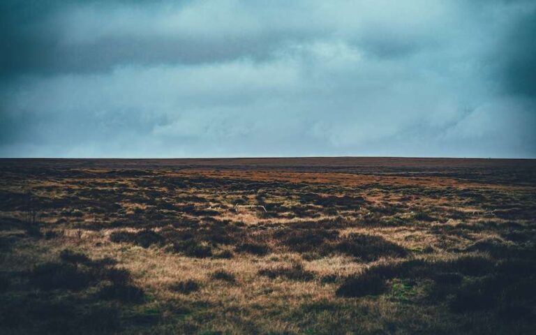 Le brûlage des landes pour la gestion des hautes terres expose des millions de personnes à des niveaux de pollution atmosphérique dangereux