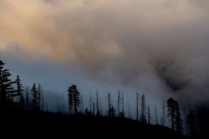 Le risque d’incendie de forêt s’étend désormais aux climats frais comme les Highlands écossais et les hautes terres irlandaises.