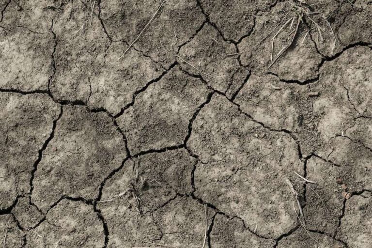 Les vagues de chaleur sont désormais des catastrophes quotidiennes – les gouvernements doivent faire davantage pour protéger les populations