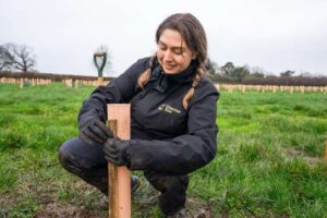 Plus de 5 000 nouveaux arbres stimulent grandement la biodiversité dans le Nord-Ouest