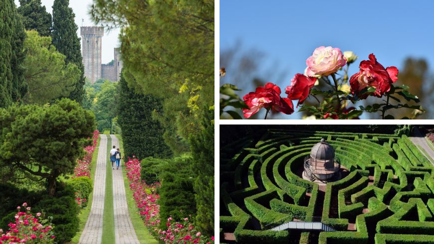 Viale delle Rose dans le Parco Sigurtà avec des roses et un labyrinthe