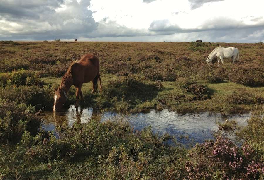 £7.7m initiative targets pollution at source in England