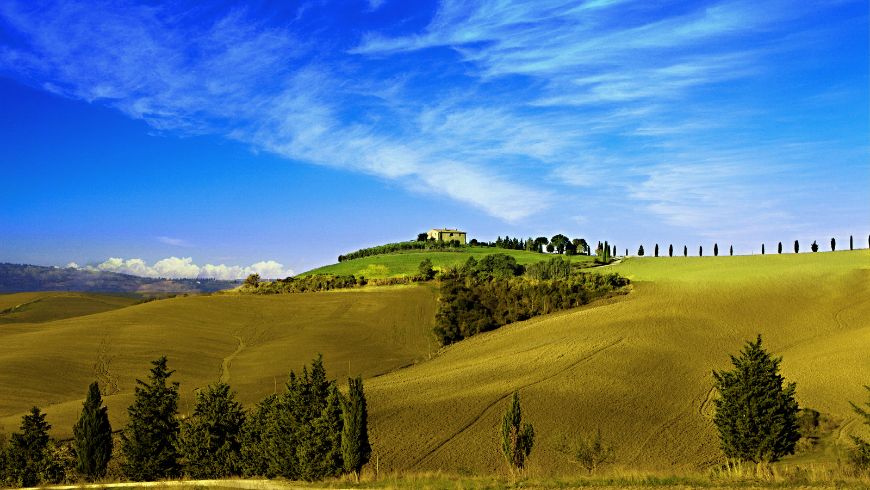 Belles collines avec soleil et arbres