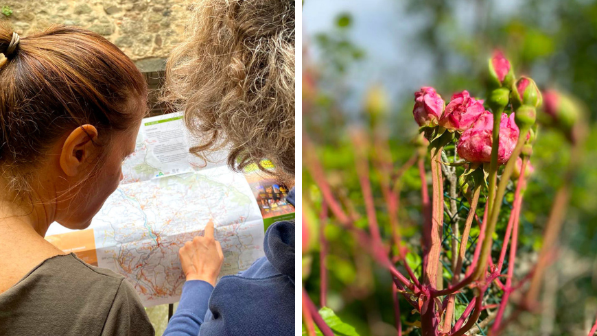 Carte des allées du territoire et fleurs roses du jardin