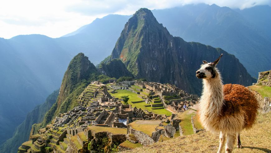 Lama surplombant l'ancienne citadelle de Machu Picchu entourée par la cordillère des Andes