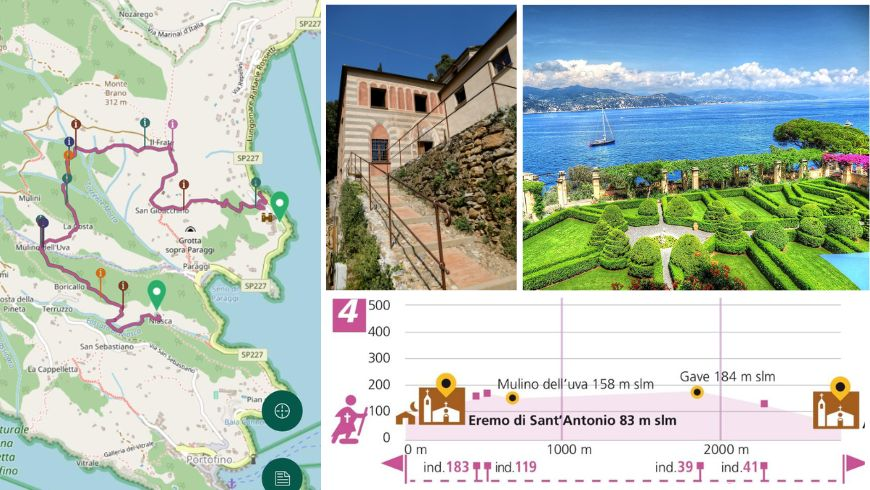 Carte et profil d'altitude de l'itinéraire de randonnée de Niasca à La Cervara à Portofino