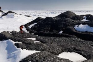 Le retrait des glaciers augmente les observations d'icebergs et remodèle les habitats des grands fonds