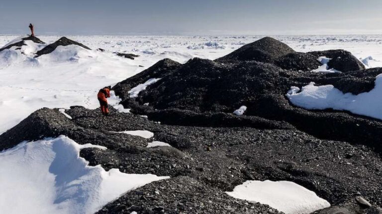 Le retrait des glaciers augmente les observations d'icebergs et remodèle les habitats des grands fonds