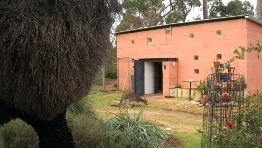 Petite maison orange dans une zone rurale en Australie avec un kanguru devant