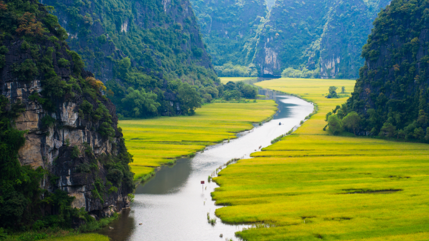 Champ de riz et rivière à NinhBinh, Vietnam
