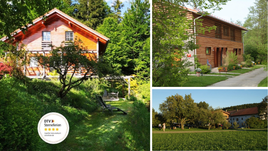 Maison immergée dans la verdure et prairie arborée