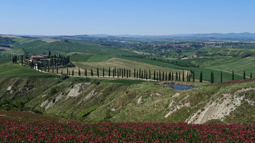 Paysage fleuri du Val d'Orcia