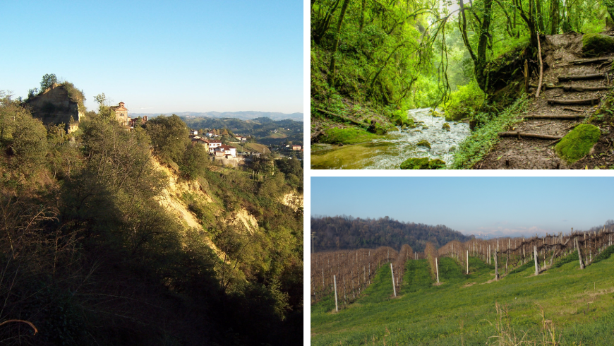 vignobles et sentiers sur les collines et en forêt