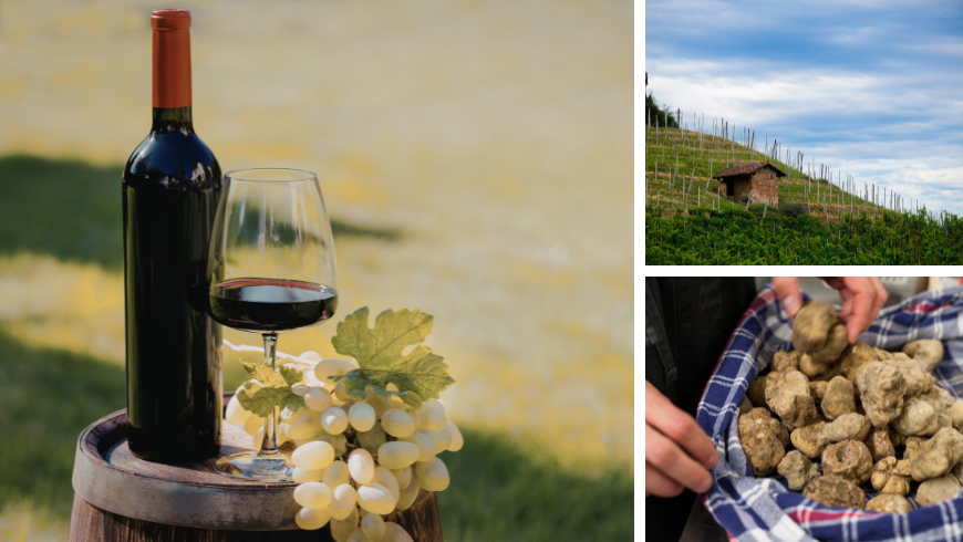 vin, vignes et truffes du Roero