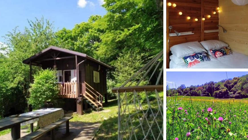 maison dans les bois avec prairies et pièce à l'intérieur