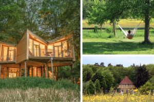 Cabanes dans les arbres, châteaux, écolodges et mini-maisons en pleine nature : les 7 hébergements écologiques les plus spectaculaires d'Allemagne