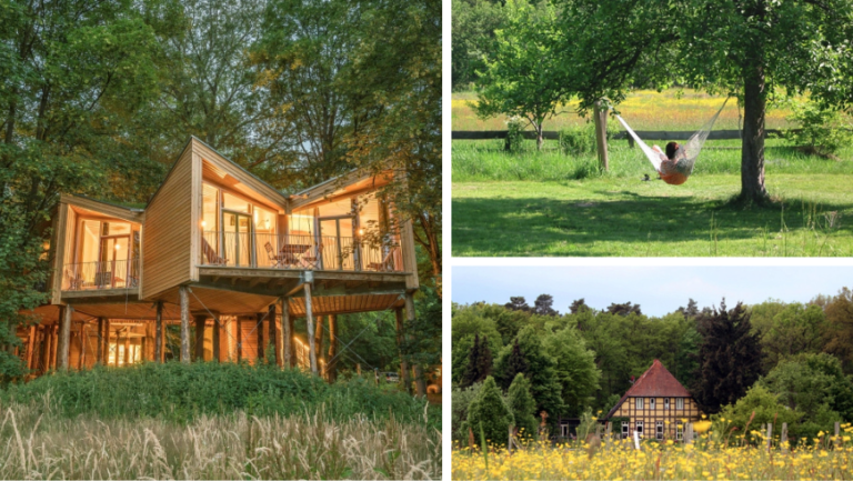 Cabanes dans les arbres, châteaux, écolodges et mini-maisons en pleine nature : les 7 hébergements écologiques les plus spectaculaires d'Allemagne