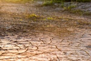 Cinquante ans se sont écoulés depuis la sécheresse de 1976 : comment le Royaume-Uni fera-t-il face à la prochaine sécheresse majeure ?