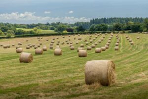 Les Wildlife Trusts mettent l’accent sur l’agriculture respectueuse de la nature à Groundswell