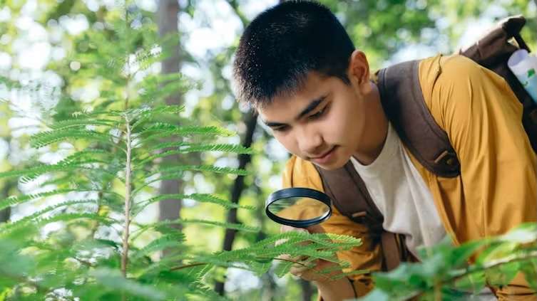 Eco‑literate children can be stewards of nature – here’s how to boost environmental education