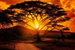 Les événements météorologiques et climatiques extrêmes auront un impact sur des millions de personnes en Afrique en 2025