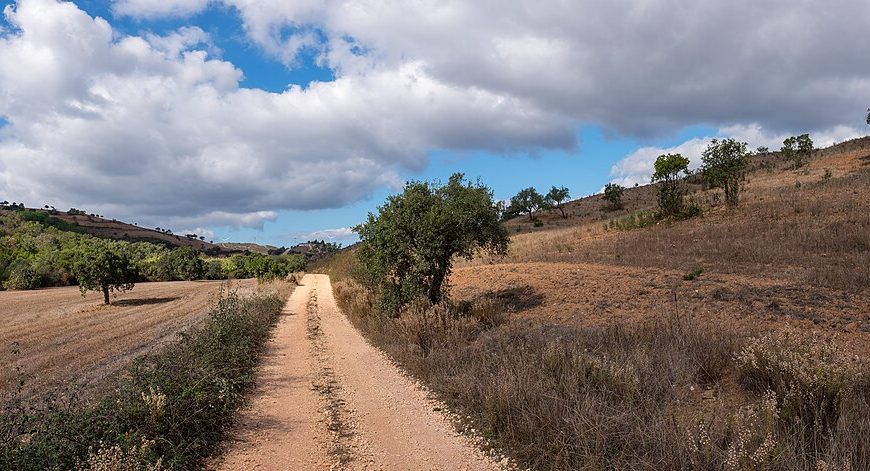 Photo d'un chemin de la Via Algarviana