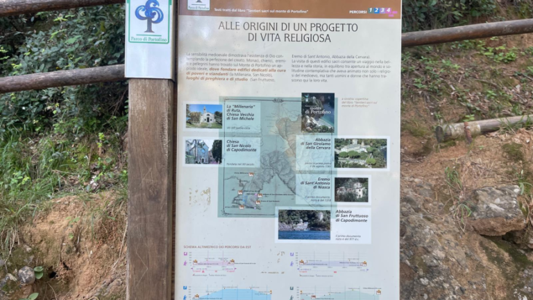 Trekking sur la face cachée de Portofino : de San Fruttuoso à La Cervara, entre ermitages, forêts et mer