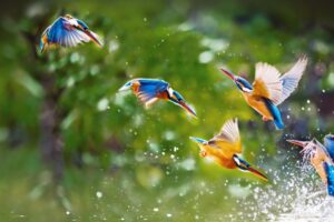 Voyager au Pérou avec des enfants : un guide pour une aventure familiale durable