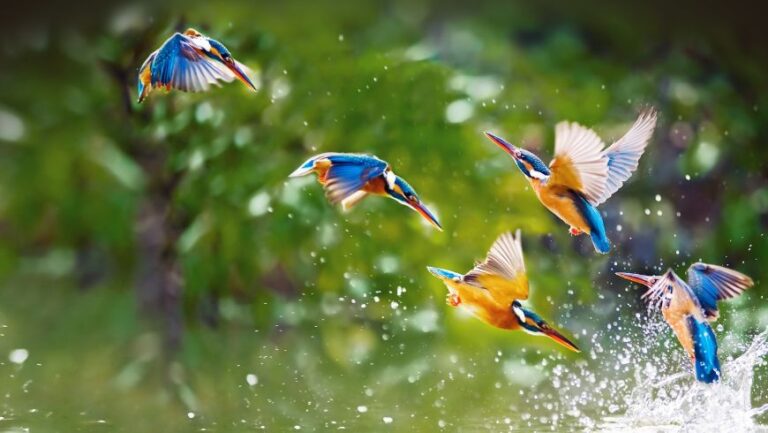 Voyager au Pérou avec des enfants : un guide pour une aventure familiale durable