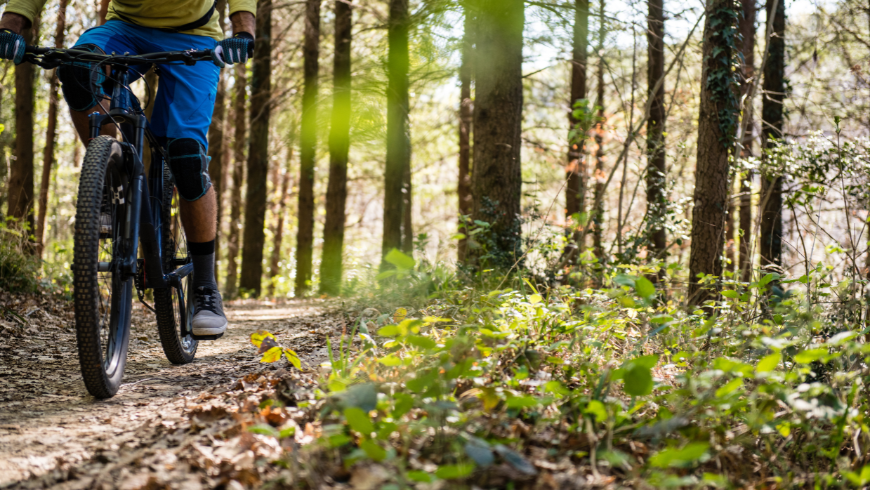 Randonnées en VTT à Merano et dans ses environs