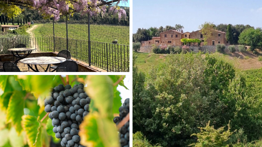 Podere Sole, agritourisme bio en Valdichiana Senese