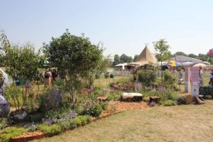 Le jardin d'Emma, ​​favorable aux papillons, remporte la médaille d'argent au RHS Badminton