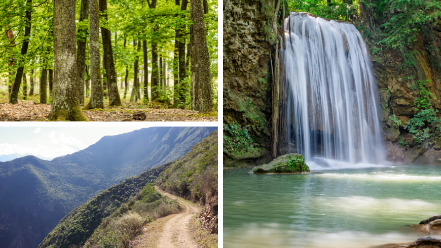 sentiers et forêts de chênes et cascades