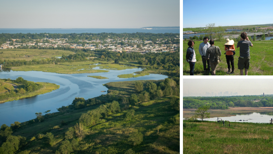 Collage montrant le parc Freshkills à New York, avec des vues panoramiques, des visiteurs explorant le paysage restauré et la végétation indigène poussant sur une ancienne décharge transformée en destination écotouristique