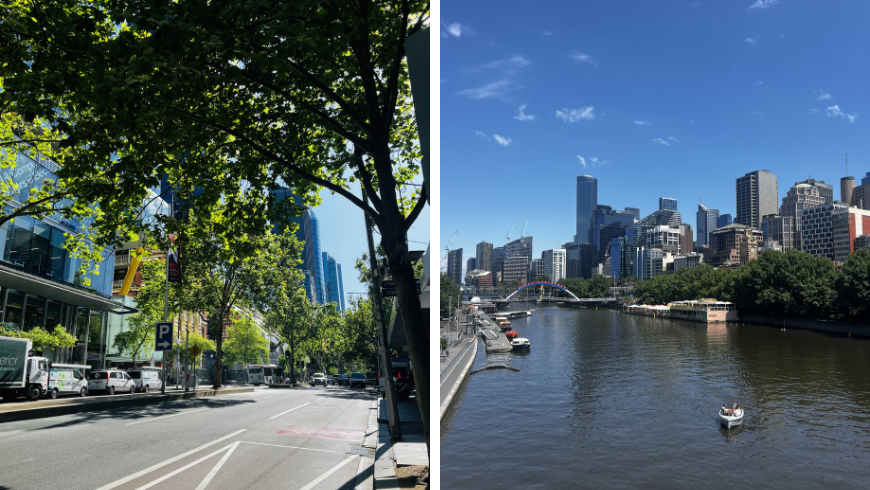 Rue de Melbourne avec arbres et rivière Yarra