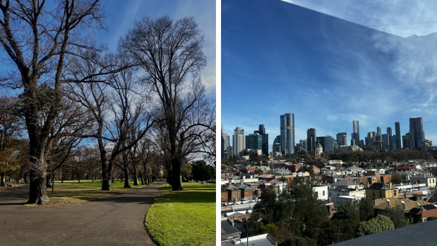 Parc arboré et sentier pédestre, vue sur les toits d'un quartier Fitzroy à Melbourne