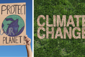 COP30 et voyages durables : pourquoi les conférences sur le climat sont importantes