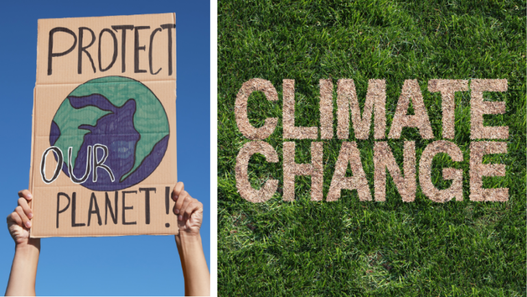 COP30 et voyages durables : pourquoi les conférences sur le climat sont importantes